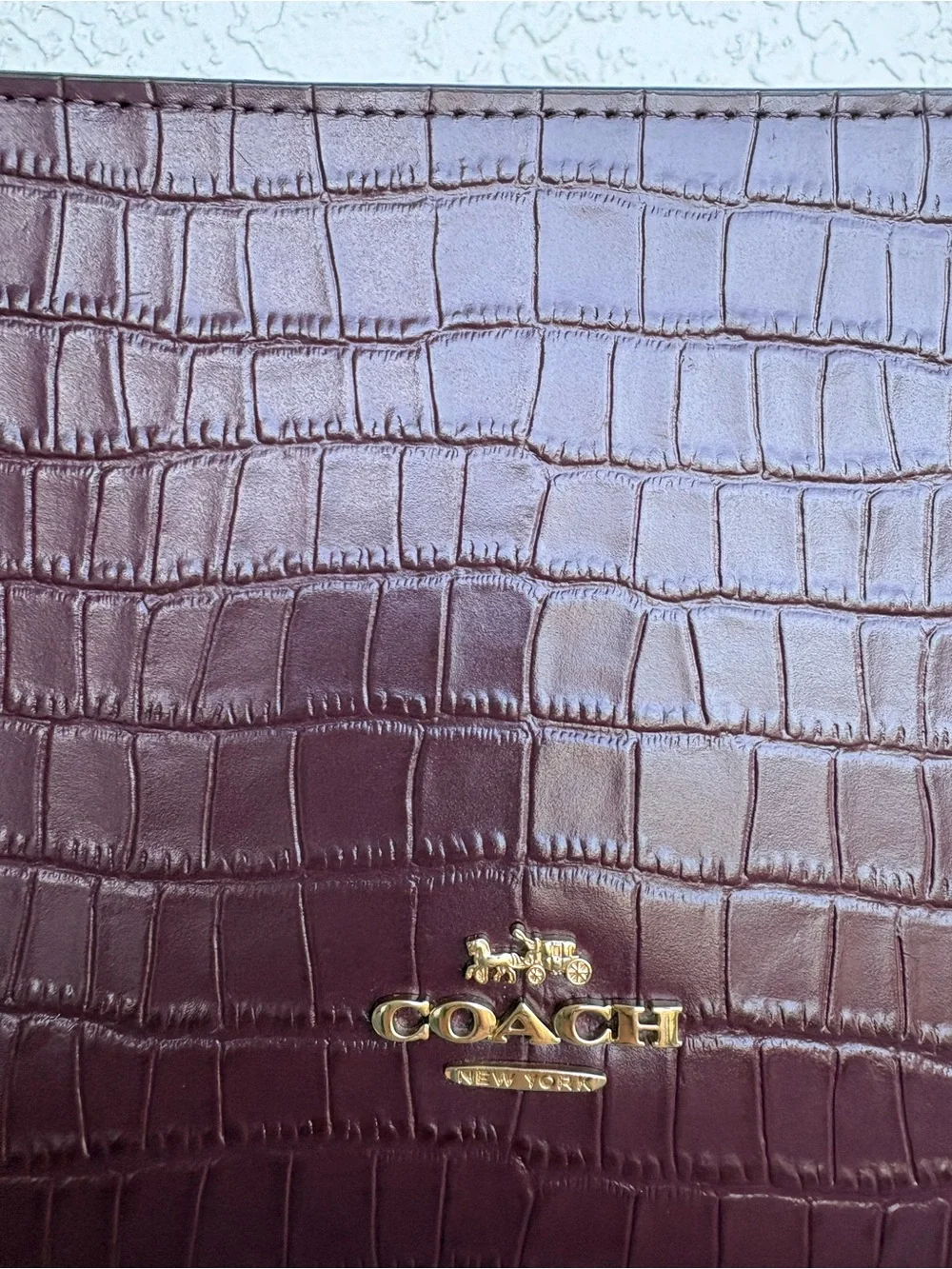 Coach gorgeous cat22
